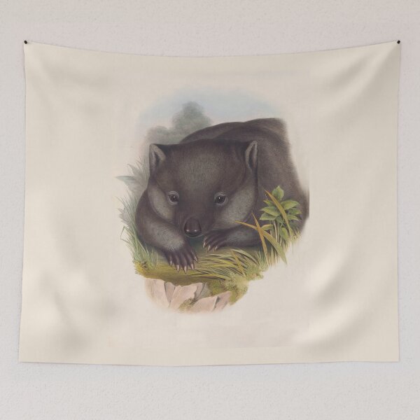 Item preview, Phascolomy's Wombat (Common Wombat) by Henry Richter designed and sold by TheCurators.
