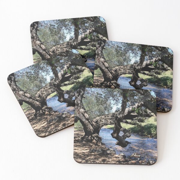 Item preview, Elderly Tree designed and sold by heatherfriedman.