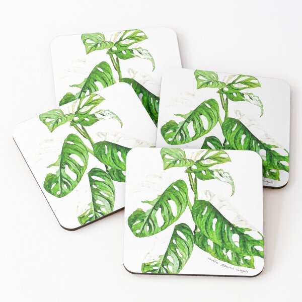 Item preview, Monstera Adansonii Variegata designed and sold by The Chookies.