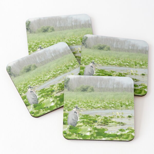 Item preview, A Great Blue Heron (Ardea herodias) in the marsh in Whitby, Ontario, Canada designed and sold by rodmacpherson.