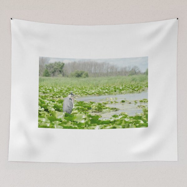 Item preview, A Great Blue Heron (Ardea herodias) in the marsh in Whitby, Ontario, Canada designed and sold by rodmacpherson.