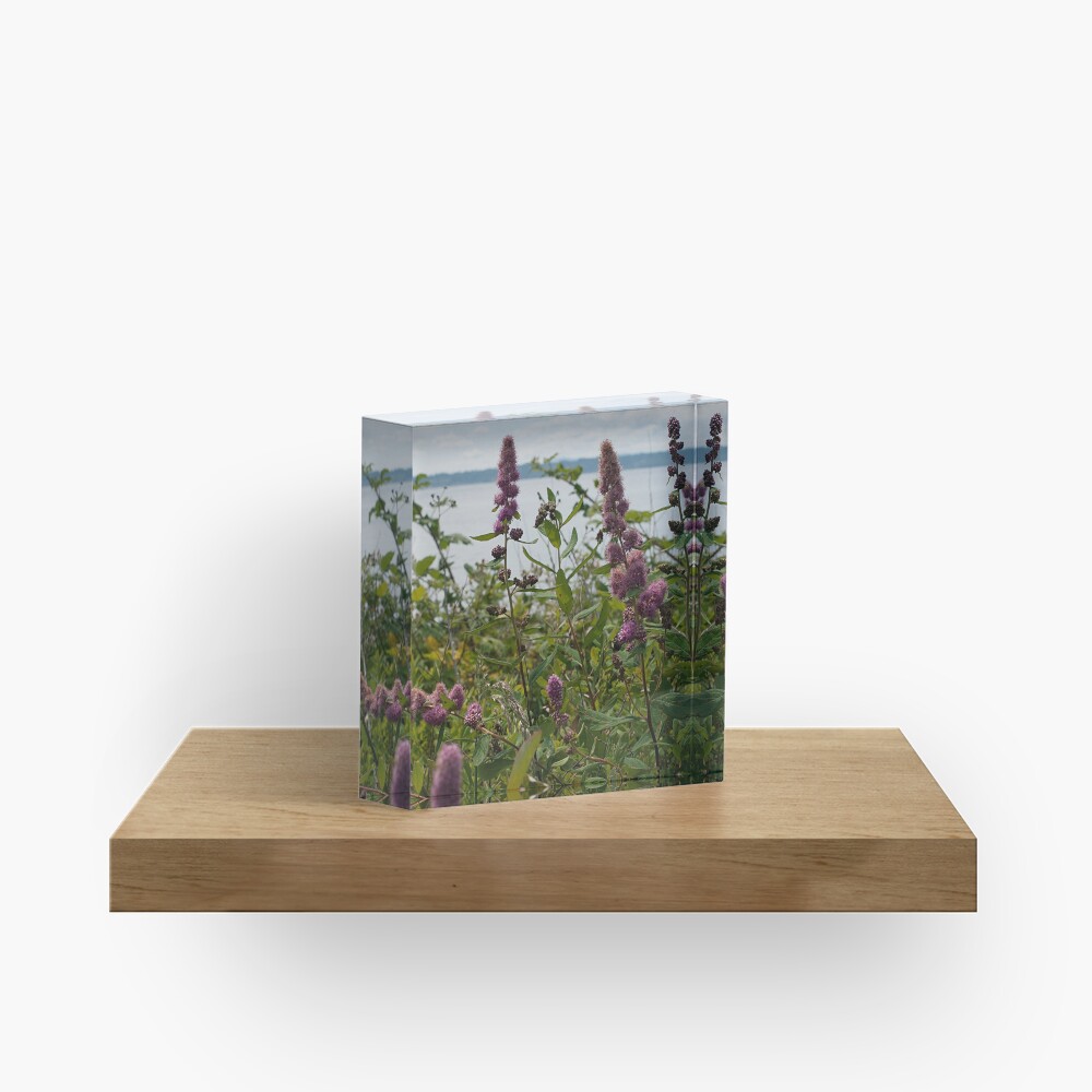 Item preview, Acrylic Block designed and sold by ColeRW.