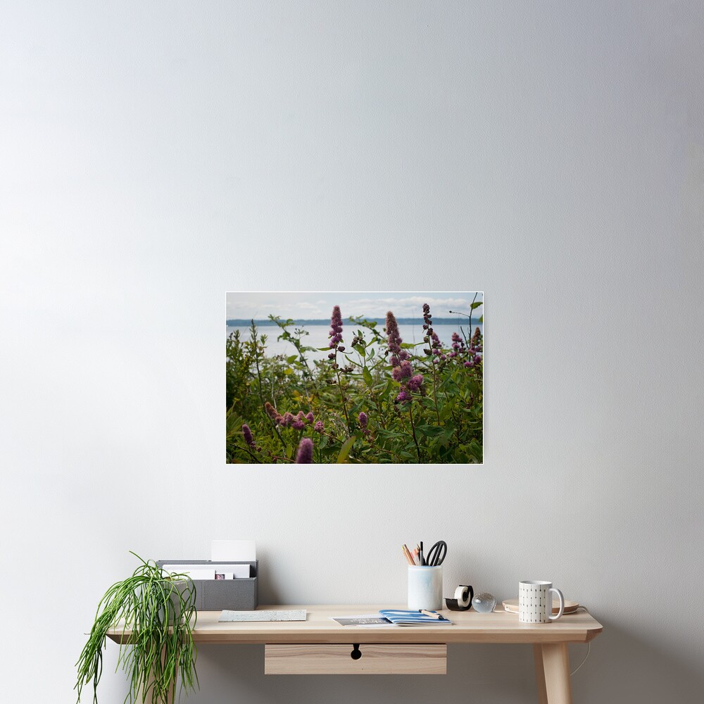 Item preview, Poster designed and sold by ColeRW.