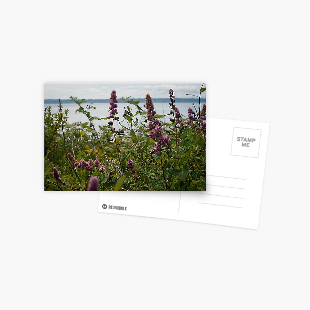 Item preview, Postcard designed and sold by ColeRW.