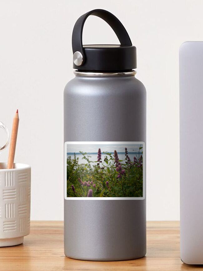 Thumbnail 1 of 3, Sticker, Edmonds Beach Flowers designed and sold by ColeRW.