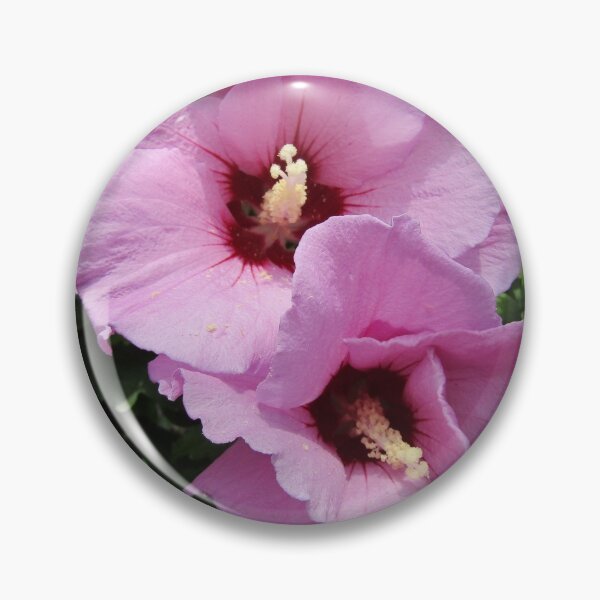 Item preview, Rose of Sharon (Hibiscus syriaca) - pink designed and sold by joshuarainbird.