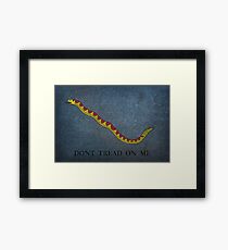 Navy Jack Snake - Dont Tread on Me Framed Print