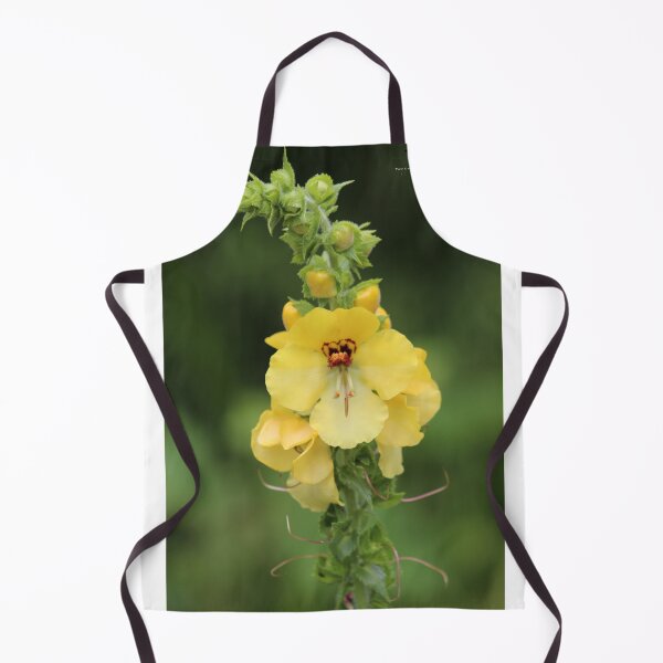 Item preview, Yellow flower designed and sold by 2Canons.