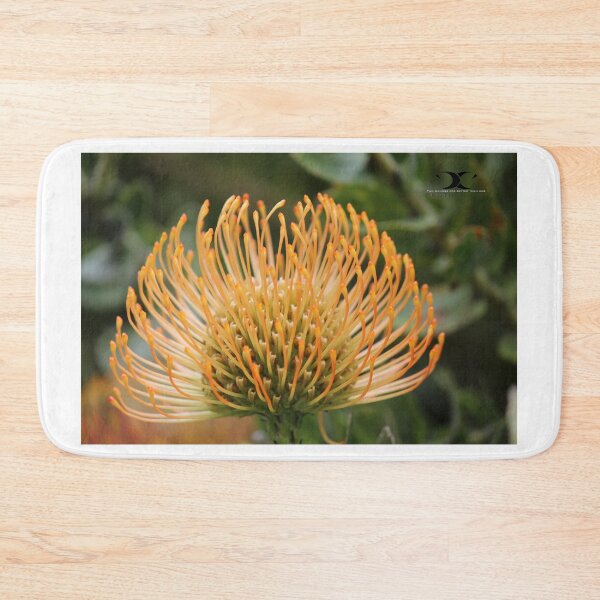 Item preview, Pincushion flower designed and sold by 2Canons.
