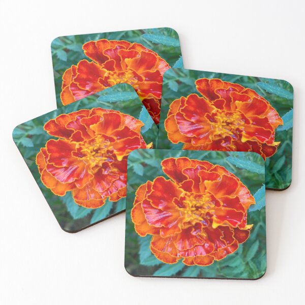 Item preview, Marigold designed and sold by Amanda1775.