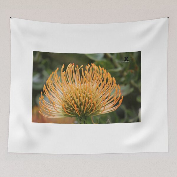 Item preview, Pincushion flower designed and sold by 2Canons.