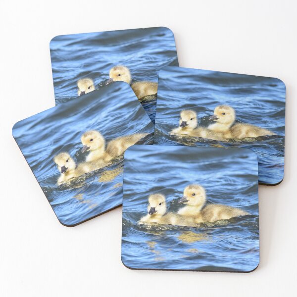 Item preview, Goslings on Wavy Waters designed and sold by Dana Hardy.