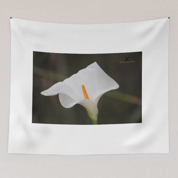 Item preview, White Calla Lily designed and sold by 2Canons.