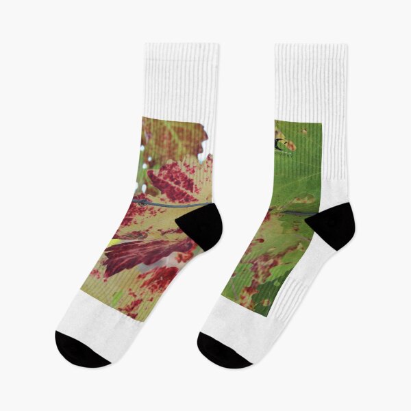 Item preview, Colorful grape leaf designed and sold by 2Canons.