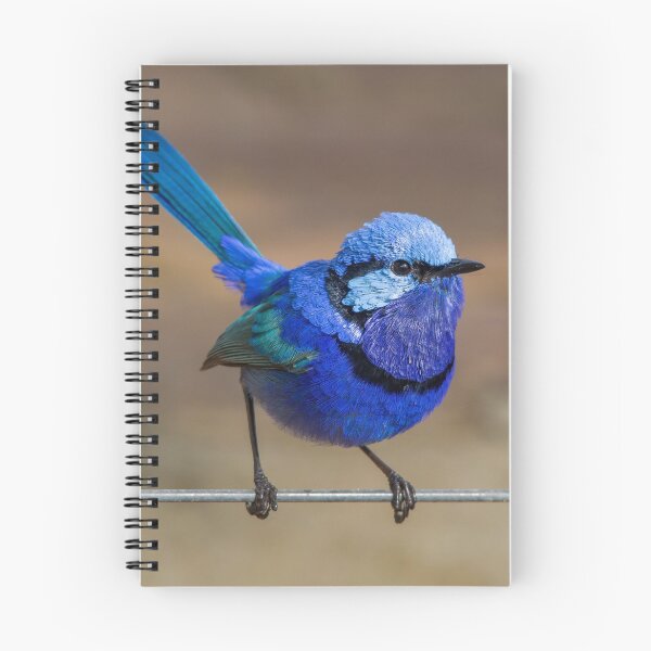 Aperçu de l'œuvre Bluebird du bonheur créée et vendue par Peter Caddy.