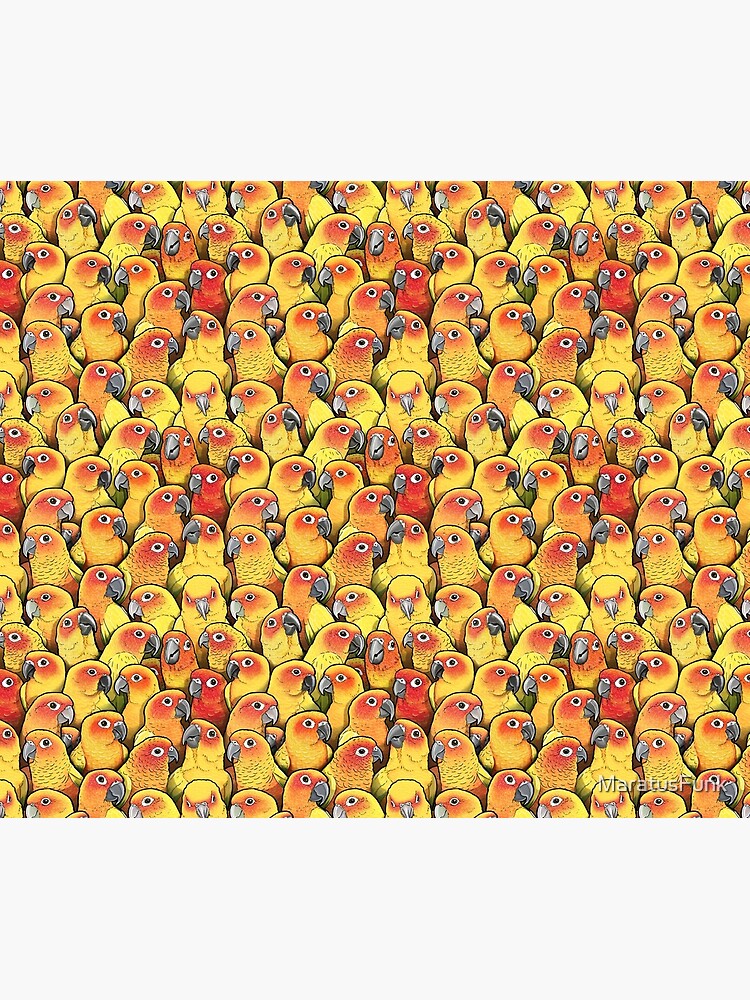 Sun Conures by MaratusFunk