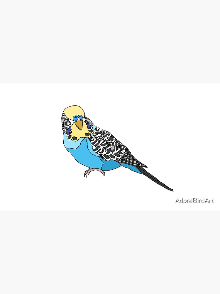 Blue And Yellow Budgie Art Print By Adorabirdart Redbubble