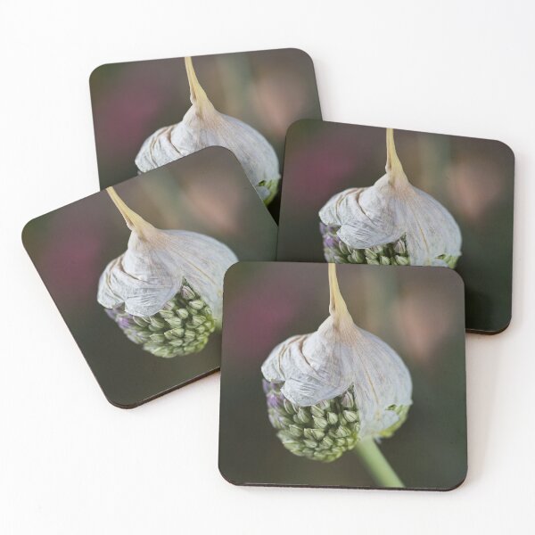 Item preview, Garlic Flower Opening designed and sold by Joy Watson - Natural Light Photography .