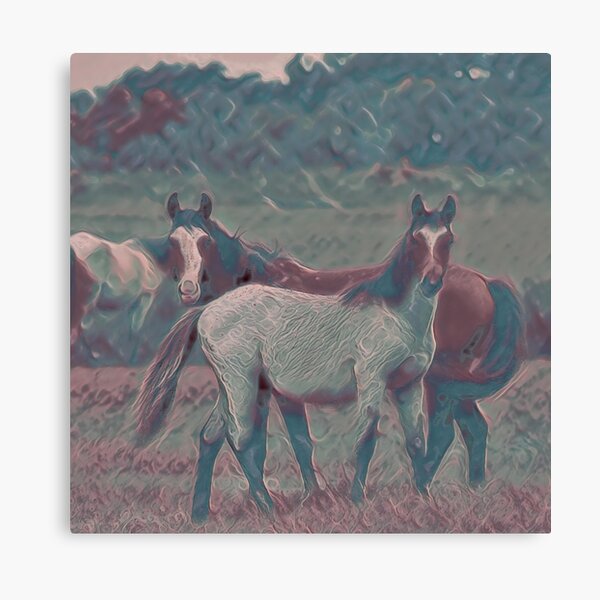 Feral Horses IV Canvas Print