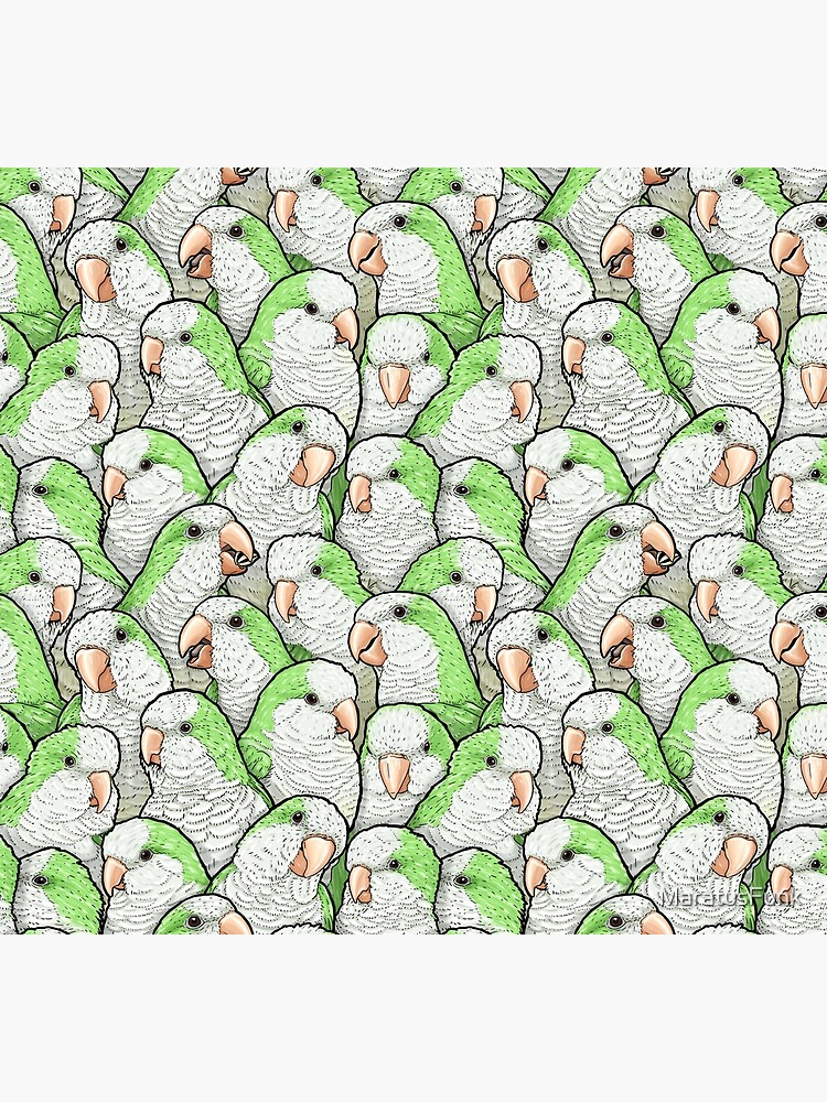 Green Quaker Monk Parakeets by MaratusFunk