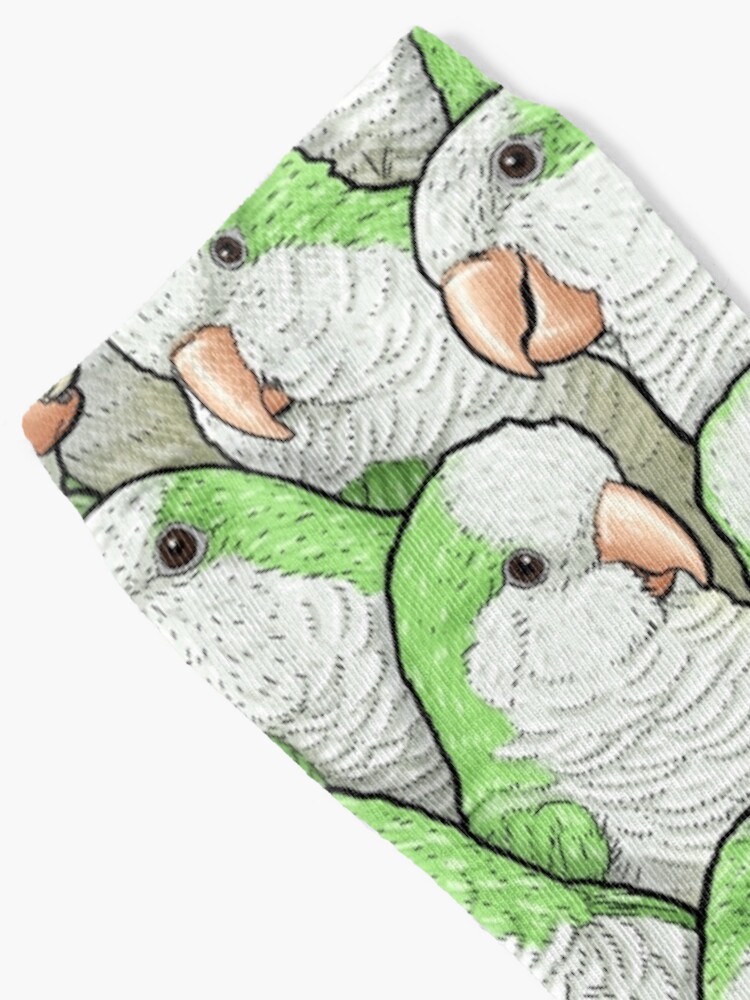 Alternate view of Green Quaker Monk Parakeets Socks