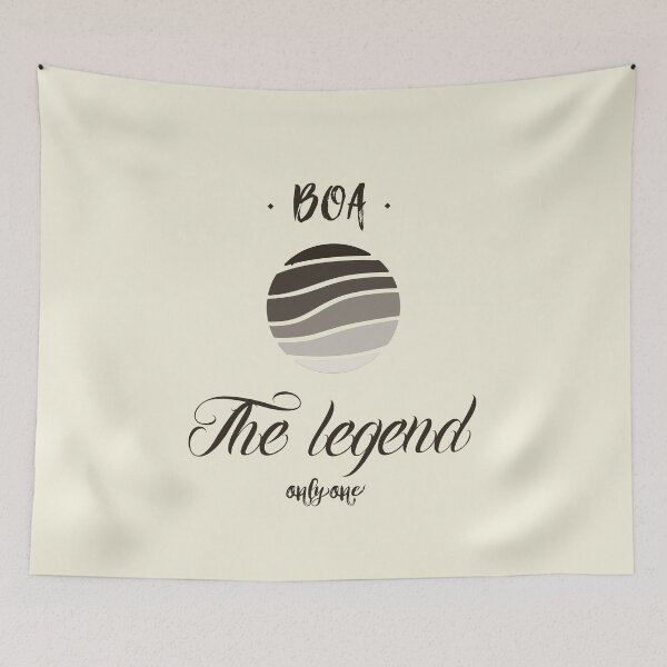 Item preview, BoA kpop The legend only one, who are you designed and sold by arorar.