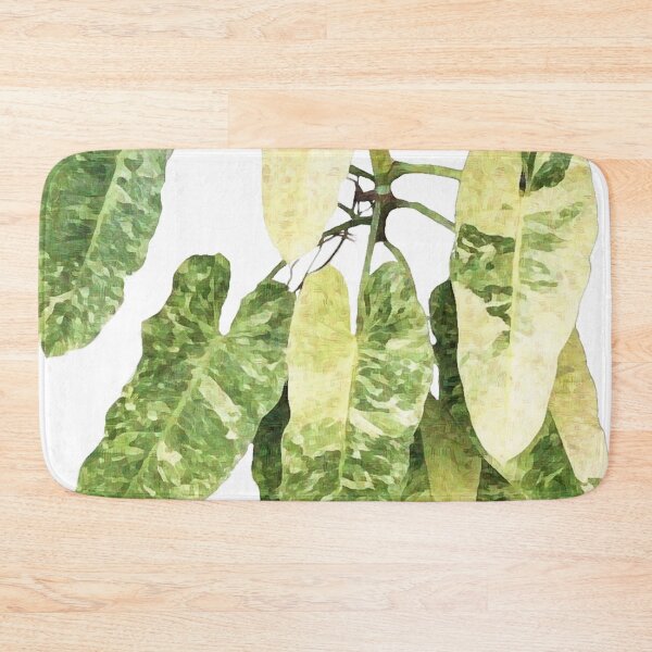 Item preview, Philodendron Sp. Imbe Ilsemanii Variegata designed and sold by The Chookies.