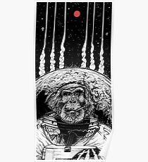 Space Monkey Poster