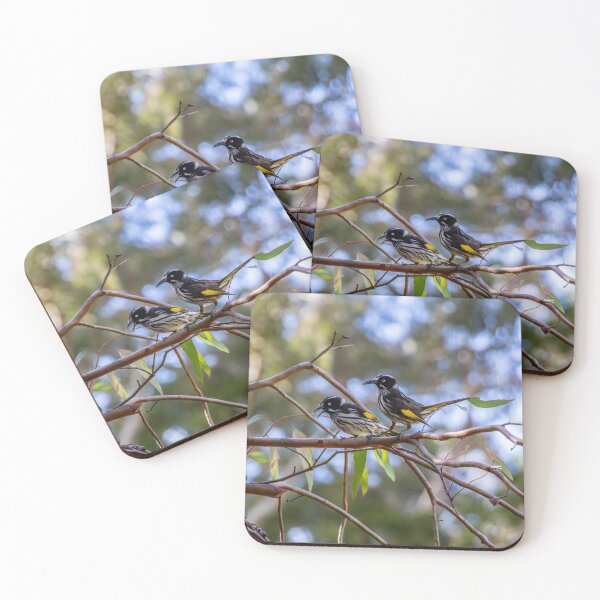 Item preview, Two New Holland Honey Eaters Chillin' designed and sold by FigTreeMagick.