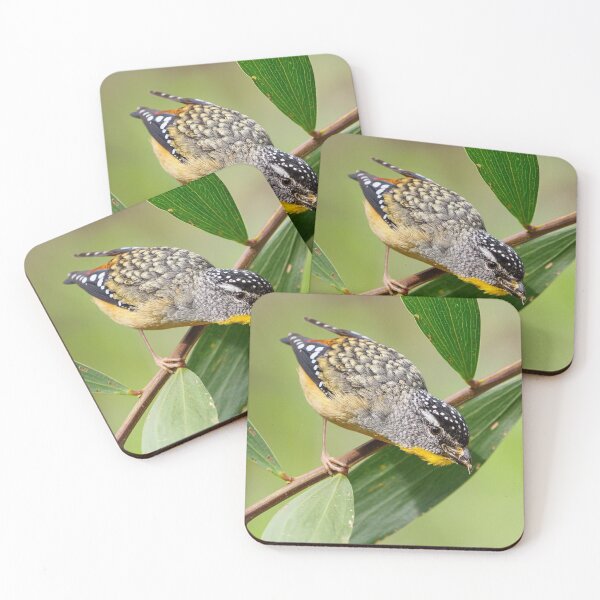Item preview, Spotted Pardalote designed and sold by Peter Caddy.
