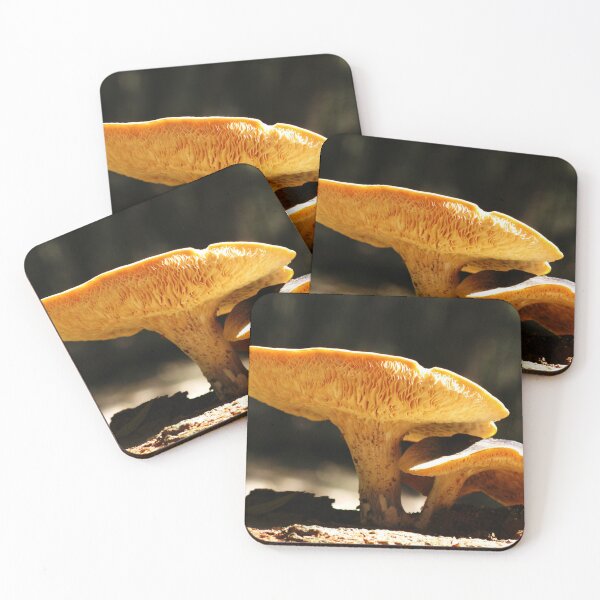 Item preview, Sheltered - Fungi Friends designed and sold by Marilyn Harris.