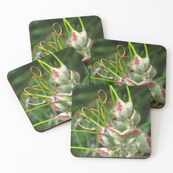 Item preview, Grevillea Pods designed and sold by Marilyn Harris.