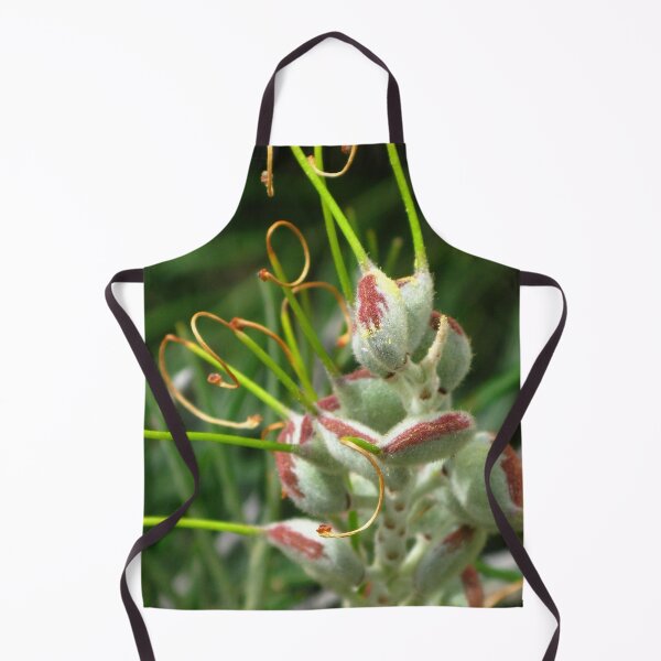 Item preview, Grevillea Pods designed and sold by Marilyn Harris.