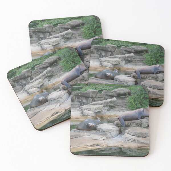 Item preview, zoo life designed and sold by KatNKel.