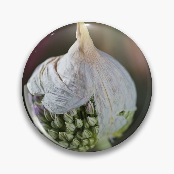 Item preview, Garlic Flower Opening designed and sold by Joy Watson - Natural Light Photography .