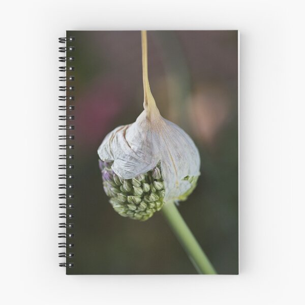 Item preview, Garlic Flower Opening designed and sold by Joy Watson - Natural Light Photography .