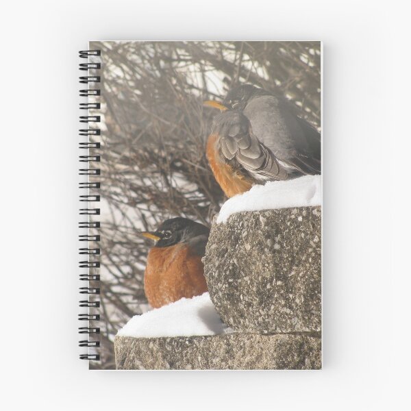 Item preview, Robins in snow designed and sold by KatNKel.