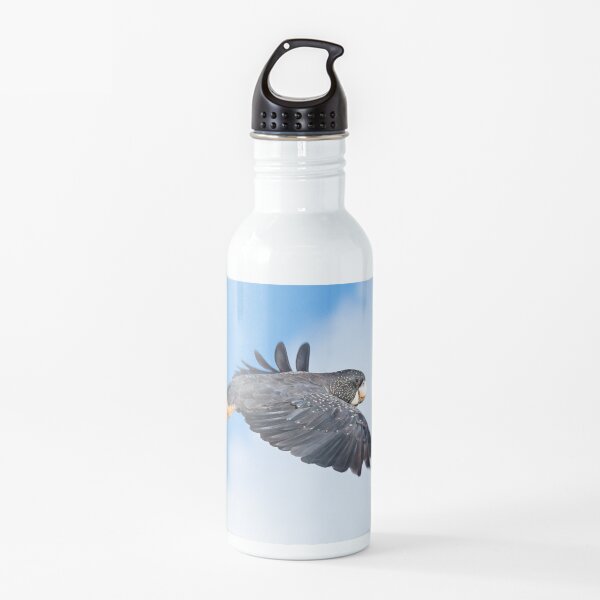 Red-tailed Black Cockatoo in flight Water Bottle