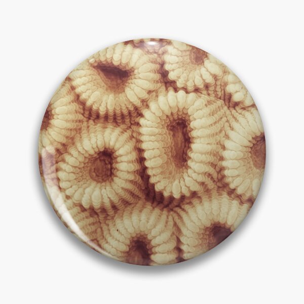 Item preview, Hoops coral designed and sold by JonMilnes.