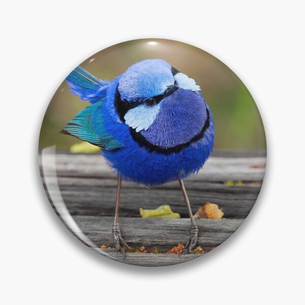 Item preview, Splendid Enquiry designed and sold by Peter Caddy.