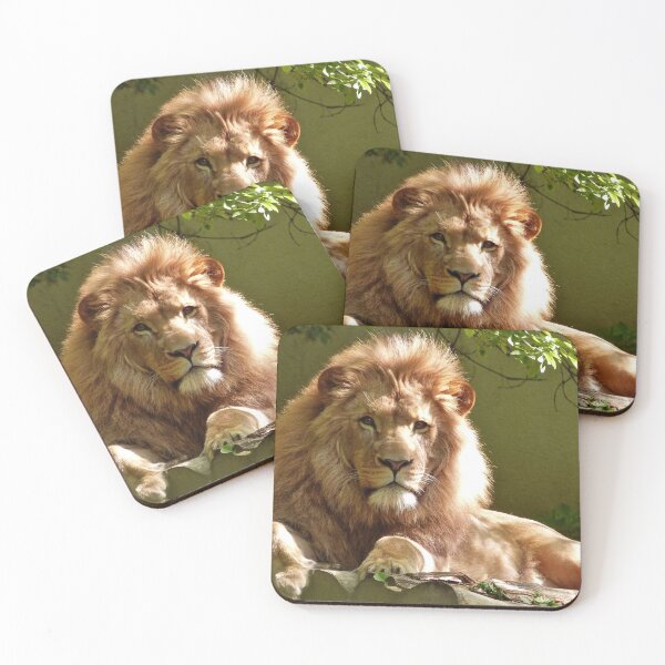 Item preview, Lion  designed and sold by Katieballyn01.