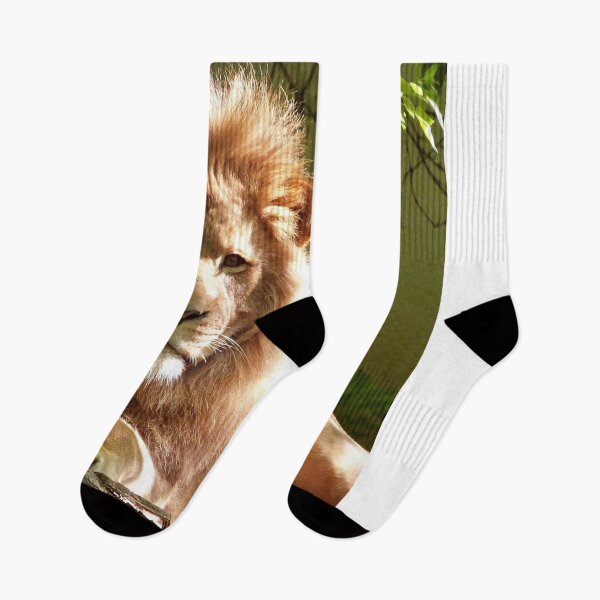 Item preview, Lion  designed and sold by Katieballyn01.