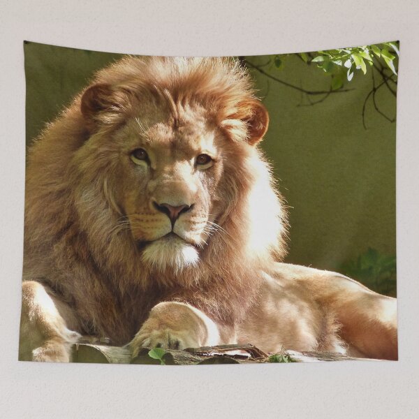 Item preview, Lion  designed and sold by Katieballyn01.