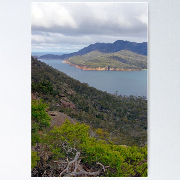 Item preview, Freycinet designed and sold by Harry Oldmeadow.