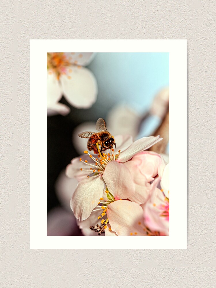 Alternate view of "Bee-utiful" Art Print