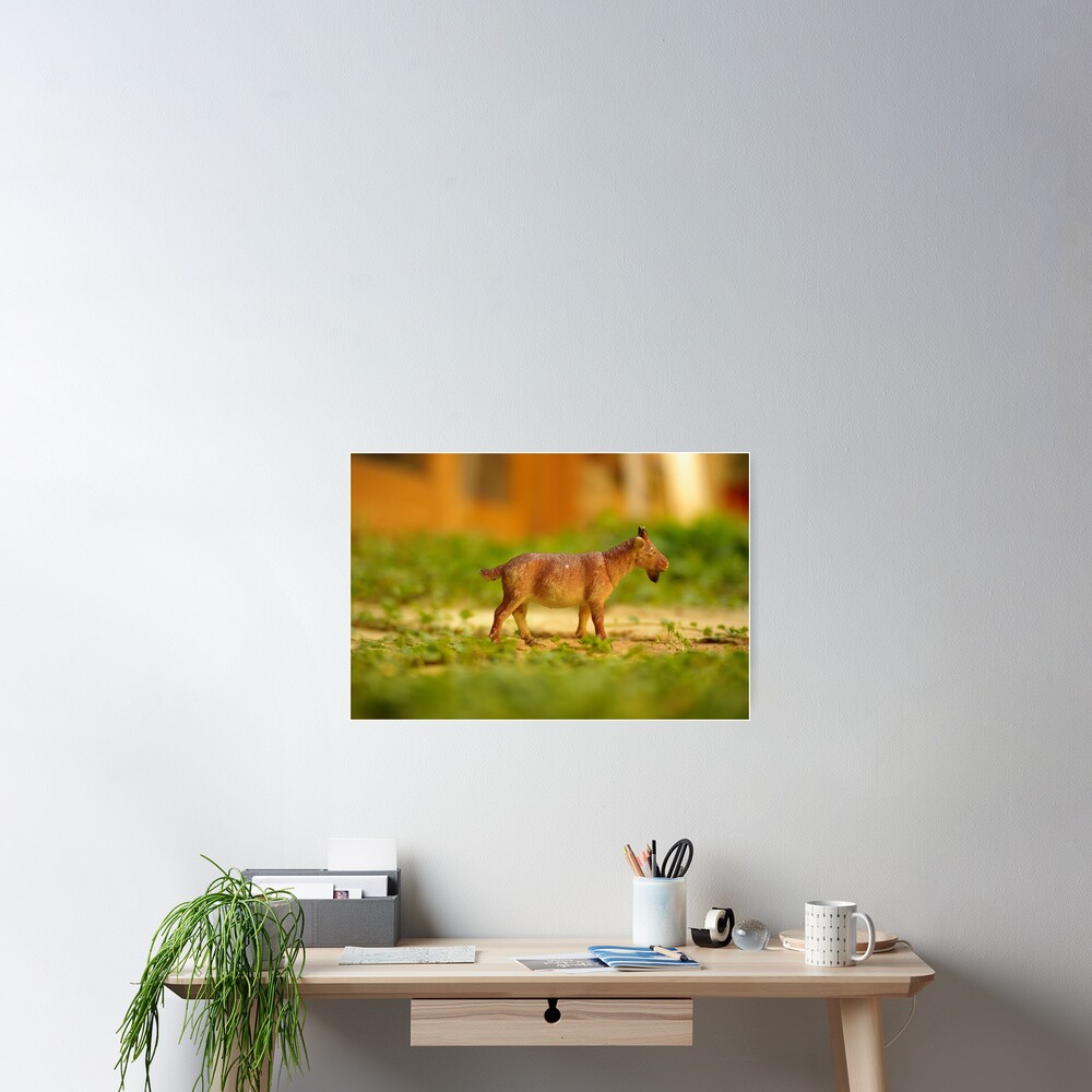 fun with a plastic goat Poster