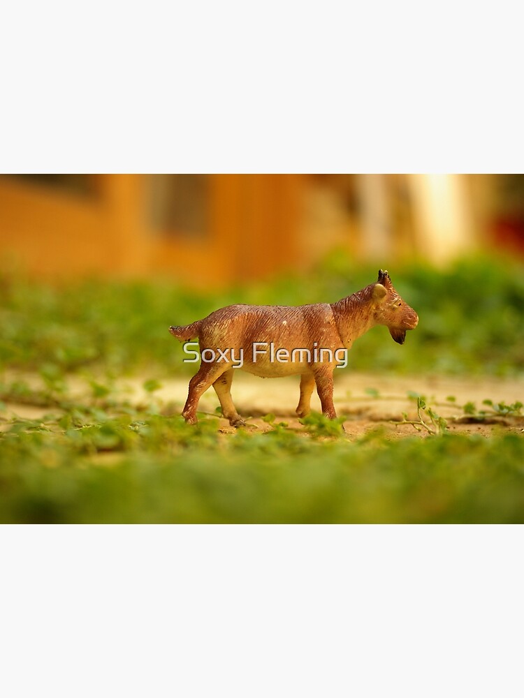 fun with a plastic goat by SoxyFleming