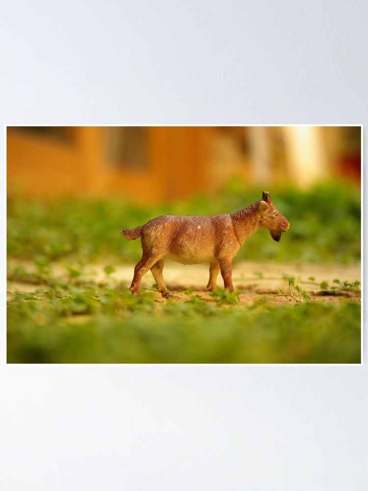 Alternate view of fun with a plastic goat Poster