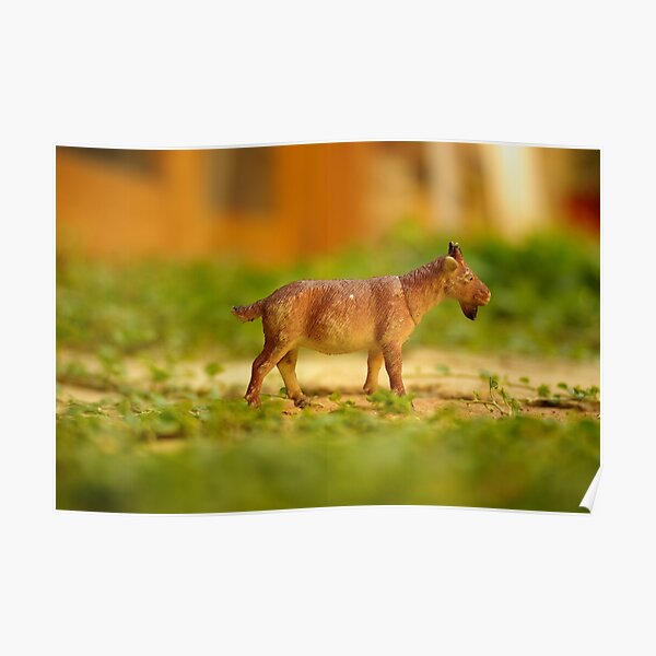 fun with a plastic goat Poster