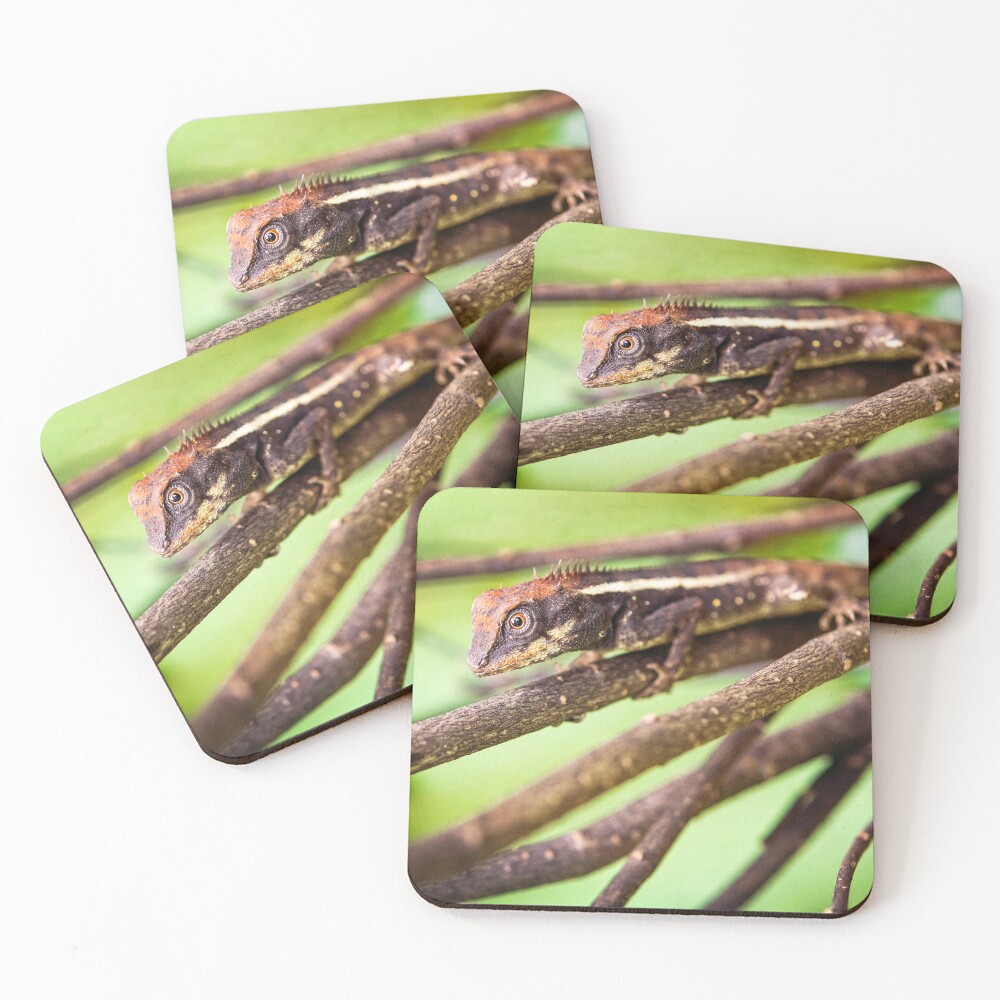 Item preview, Coasters (Set of 4) designed and sold by JonMilnes.